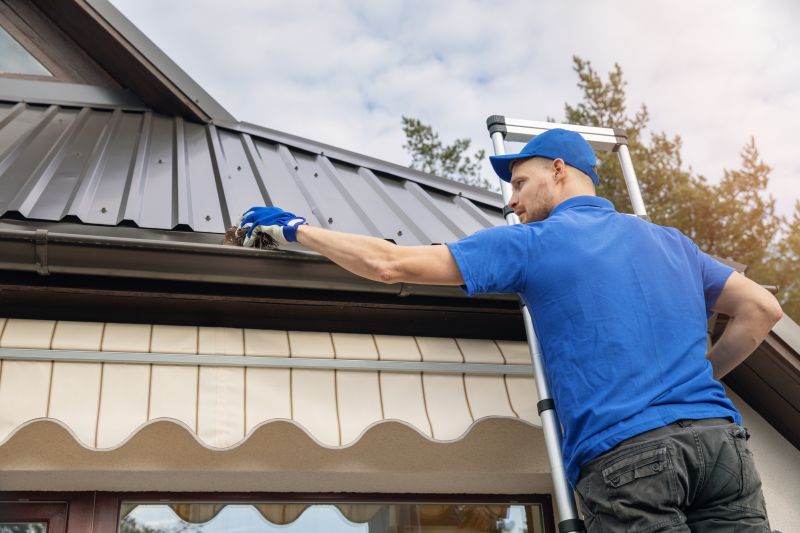 Local Gutter Maintenance Services